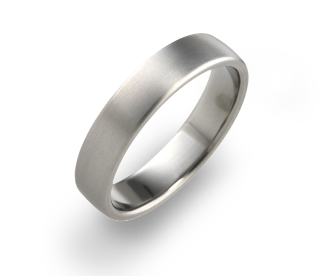 Titanium 5mm Polished Wedding Ring
